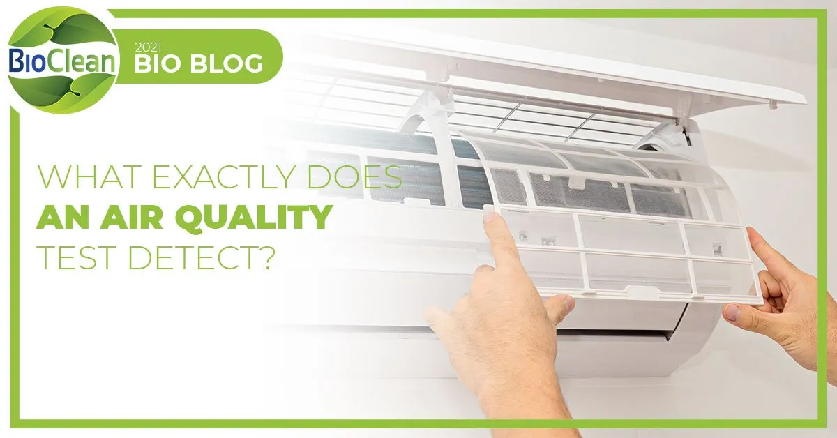 What Exactly Does an Air Quality Test Detect?