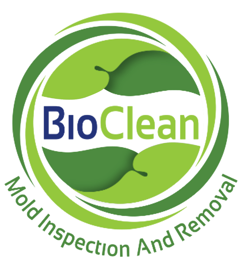 mold services