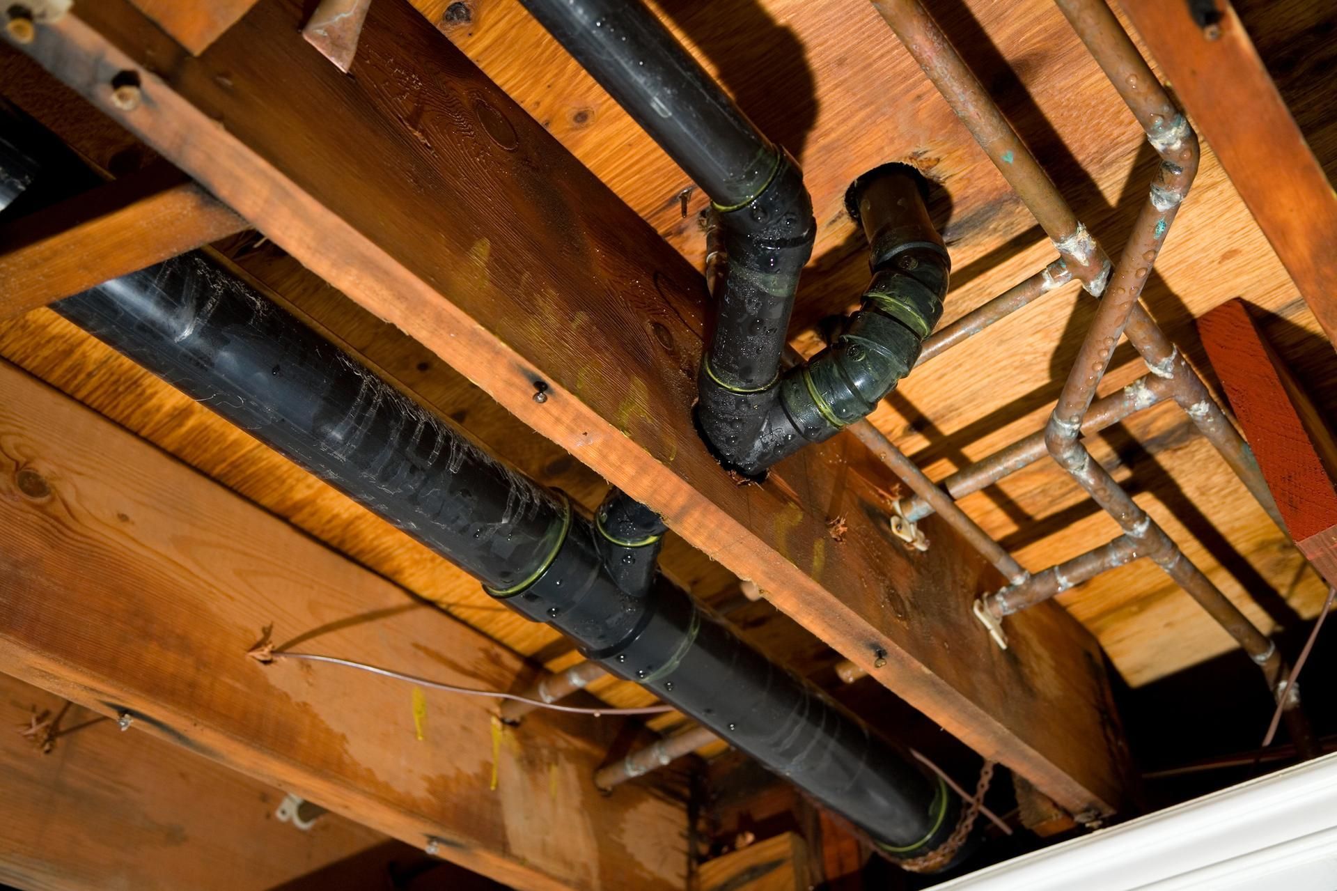 Black ABS plumbing pipes and copper water lines running beneath exposed wooden floor joists in an unfinished basement.