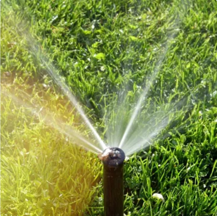 A pop-up sprinkler spraying water over a lush green lawn.