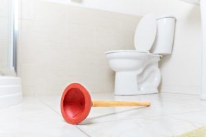 Plunger Next to Clogged Toilet — Lisle, IL – Jim Dhamer Plumbing and Sewer, Inc. Plunger Next to Clogged Toilet — Lisle, IL – Jim Dhamer Plumbing and Sewer, Inc.