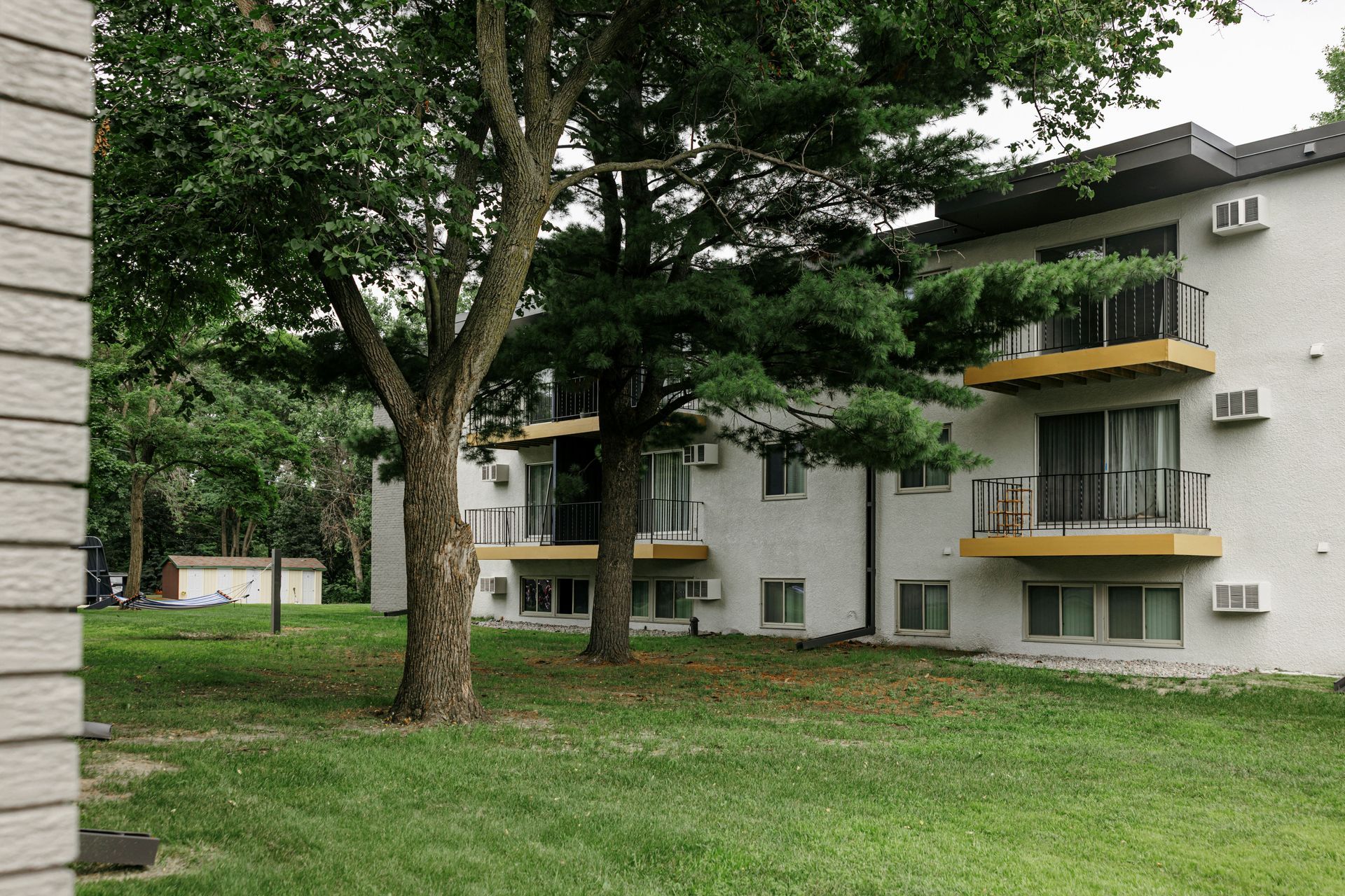Apartment buildings behind large trees and grassy lawn in a quiet residential courtyard