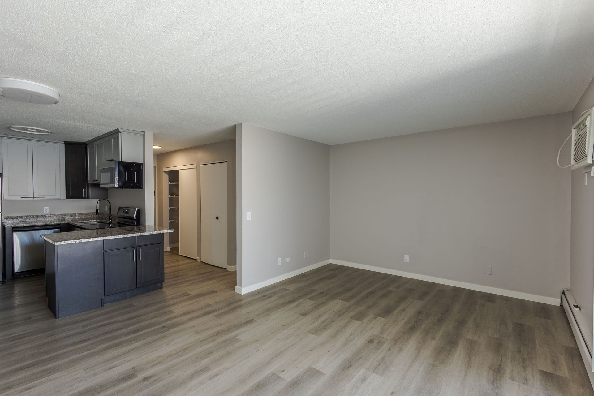 empty apartment with updated kitchen and flooring - Skyline Real Estate Services