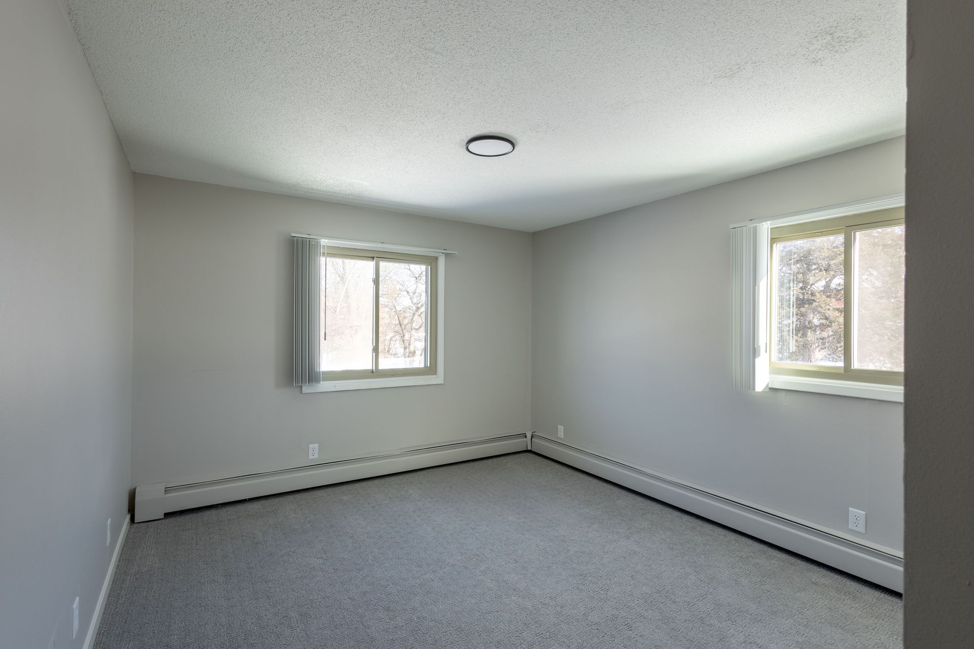 Empty light gray bedroom with two windows, white trim, and carpeted floor