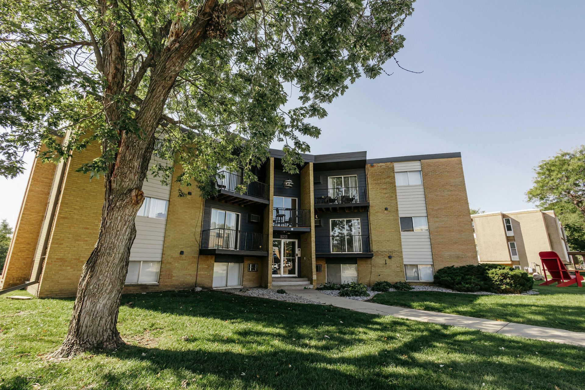 Apartment building with balconies and a large tree in front, on a sunny day