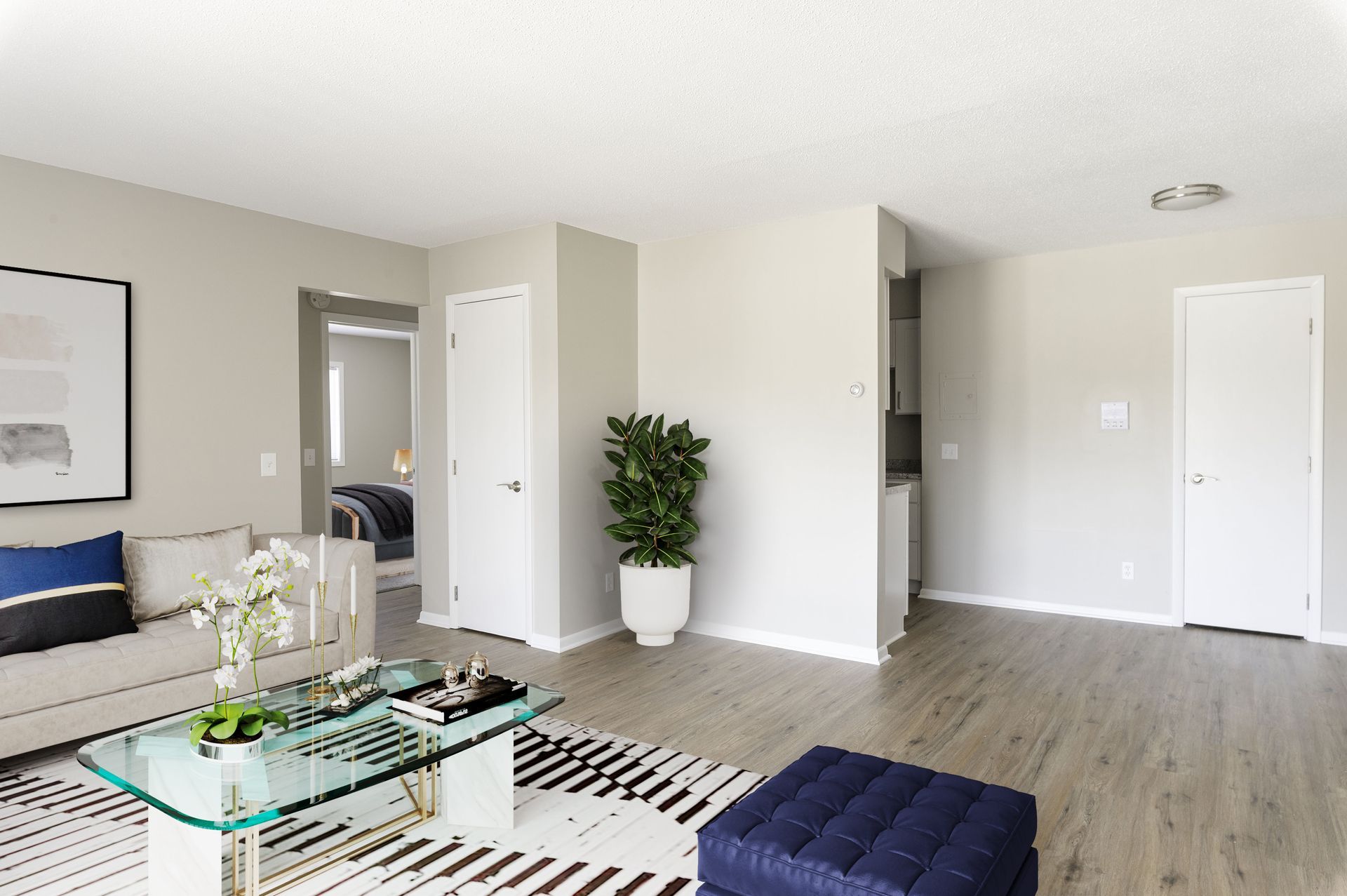 Bright modern living room with white walls, gray flooring, sectional sofa, glass coffee table, and potted plant