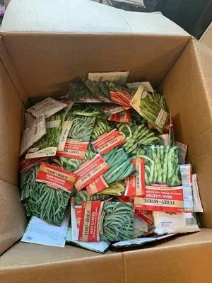 Open cardboard box filled with assorted green and red seed packets.