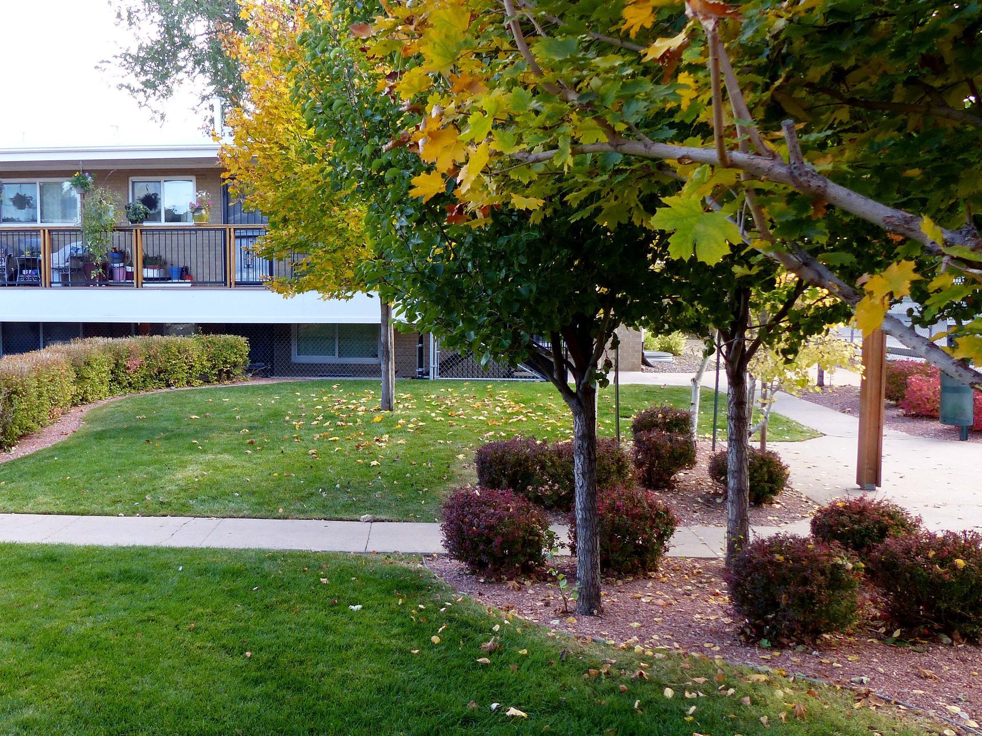 Campus lawn with trees, shrubs, and a building with large windows in the background.