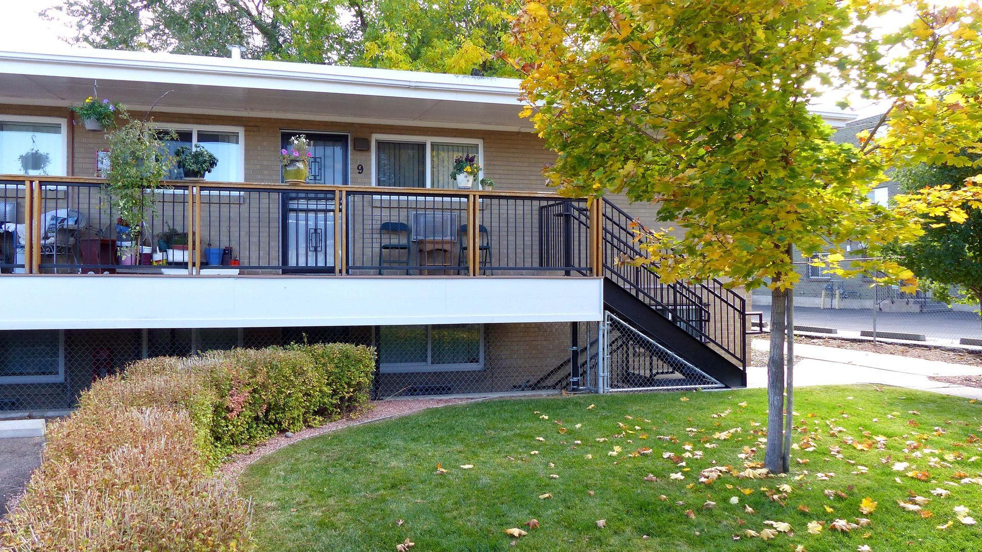 Single-story house with porch, stairs, and autumn tree beside a grassy yard