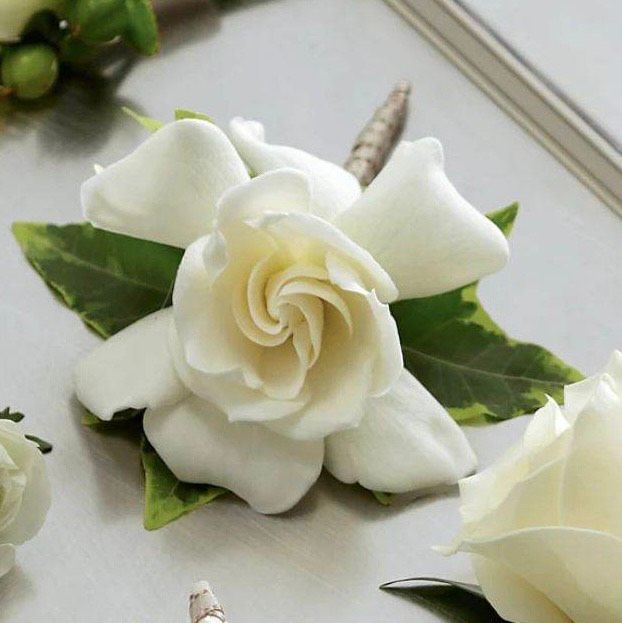 Gardenia Boutonniere