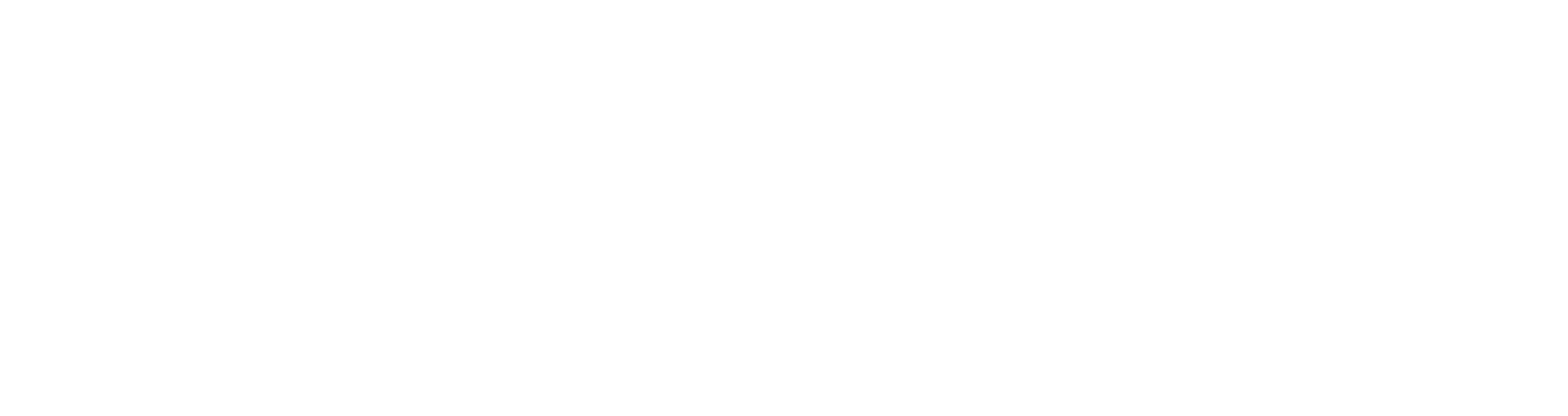 White Divider White Divider