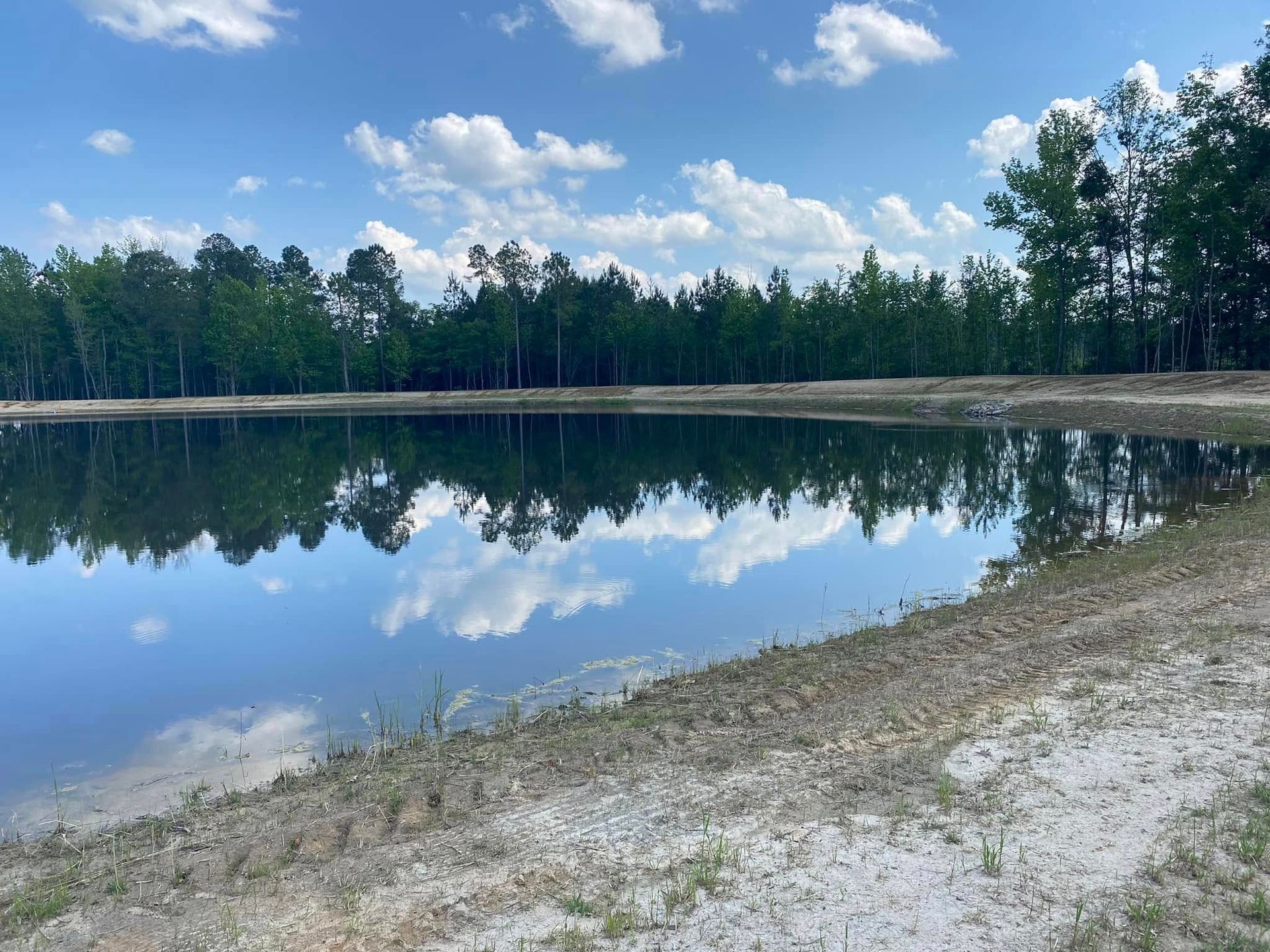 A calm pond reflects a line of green trees and a blue sky with fluffy white clouds, with a dirt bank in the foreground.