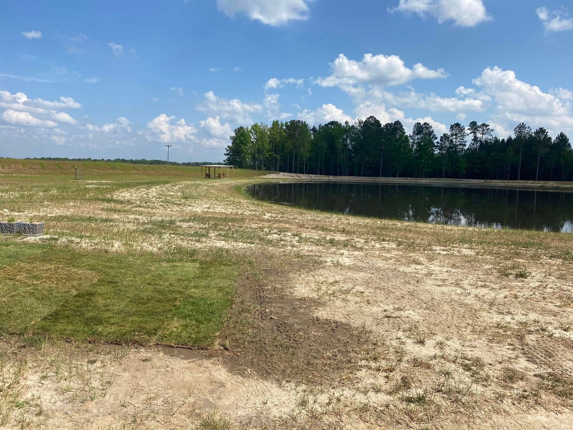 A landscape of patchy grass and sandy soil slopes down toward a pond bordering a dense line of trees under a blue sky.