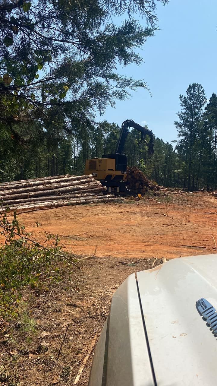 A yellow forestry machine stacks logs on a dirt clearing in a wooded area, viewed from the hood of a white vehicle.