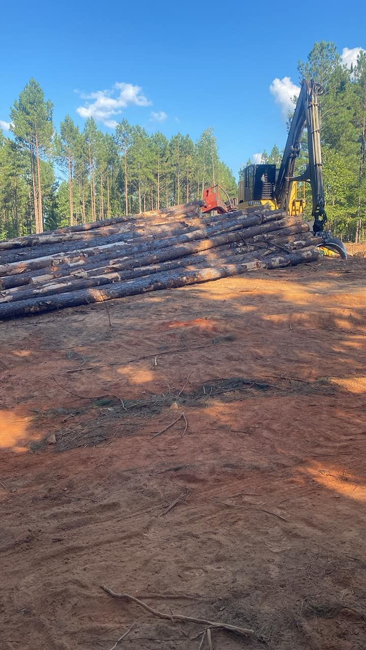 A yellow log loader machine moves stacked timber in a cleared, reddish-brown dirt field under a clear blue sky.