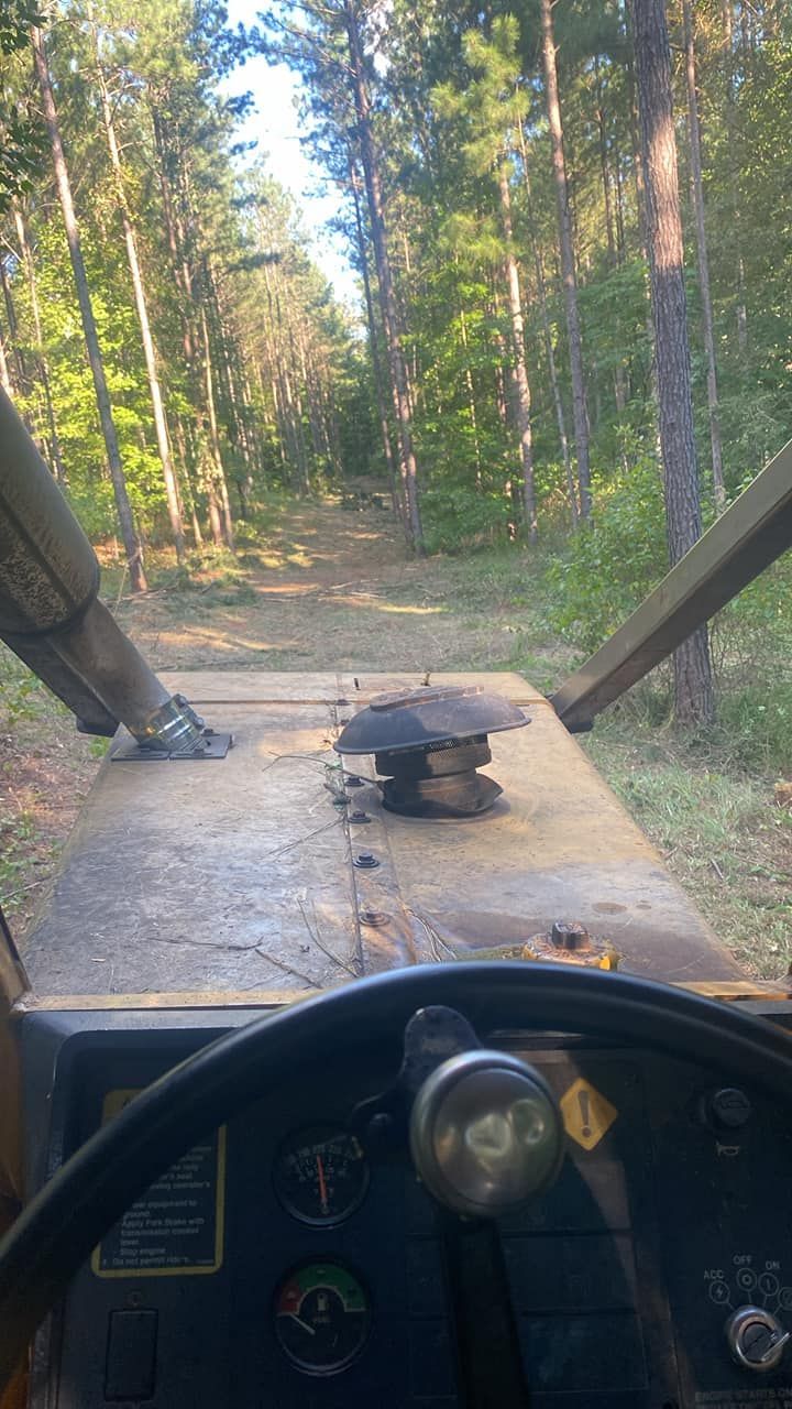 A first-person view from inside a yellow tractor, showing a dirt path ahead through a sunlit forest.