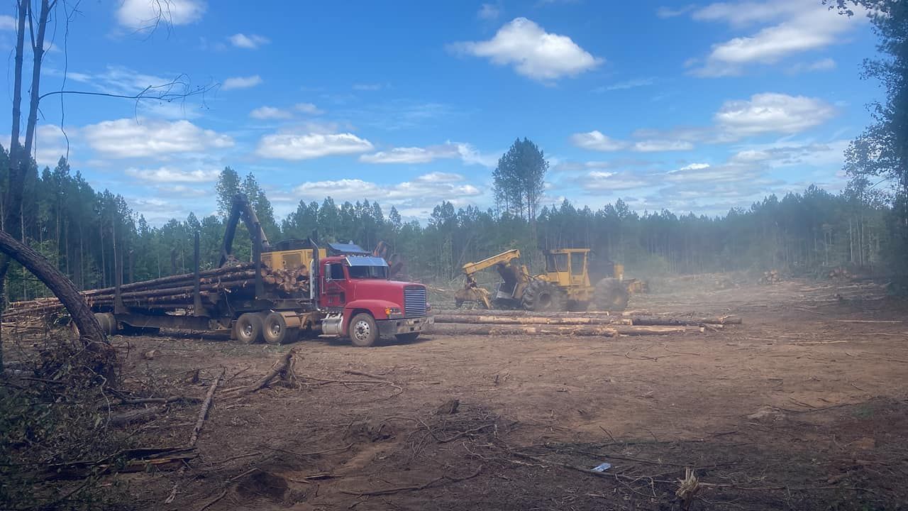 A red logging truck being loaded with logs by heavy machinery in a cleared forest under a blue sky with scattered clouds.