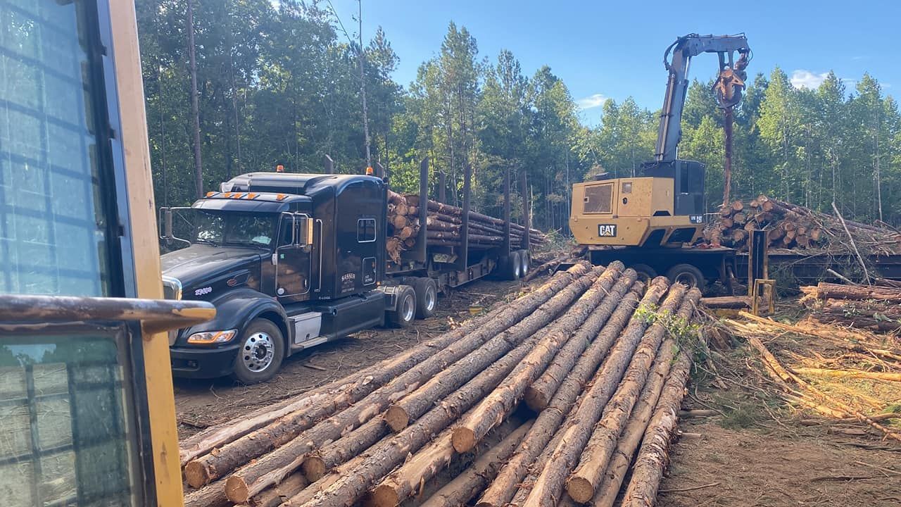 A black logging truck being loaded with timber by a yellow excavator in a forest clearing.