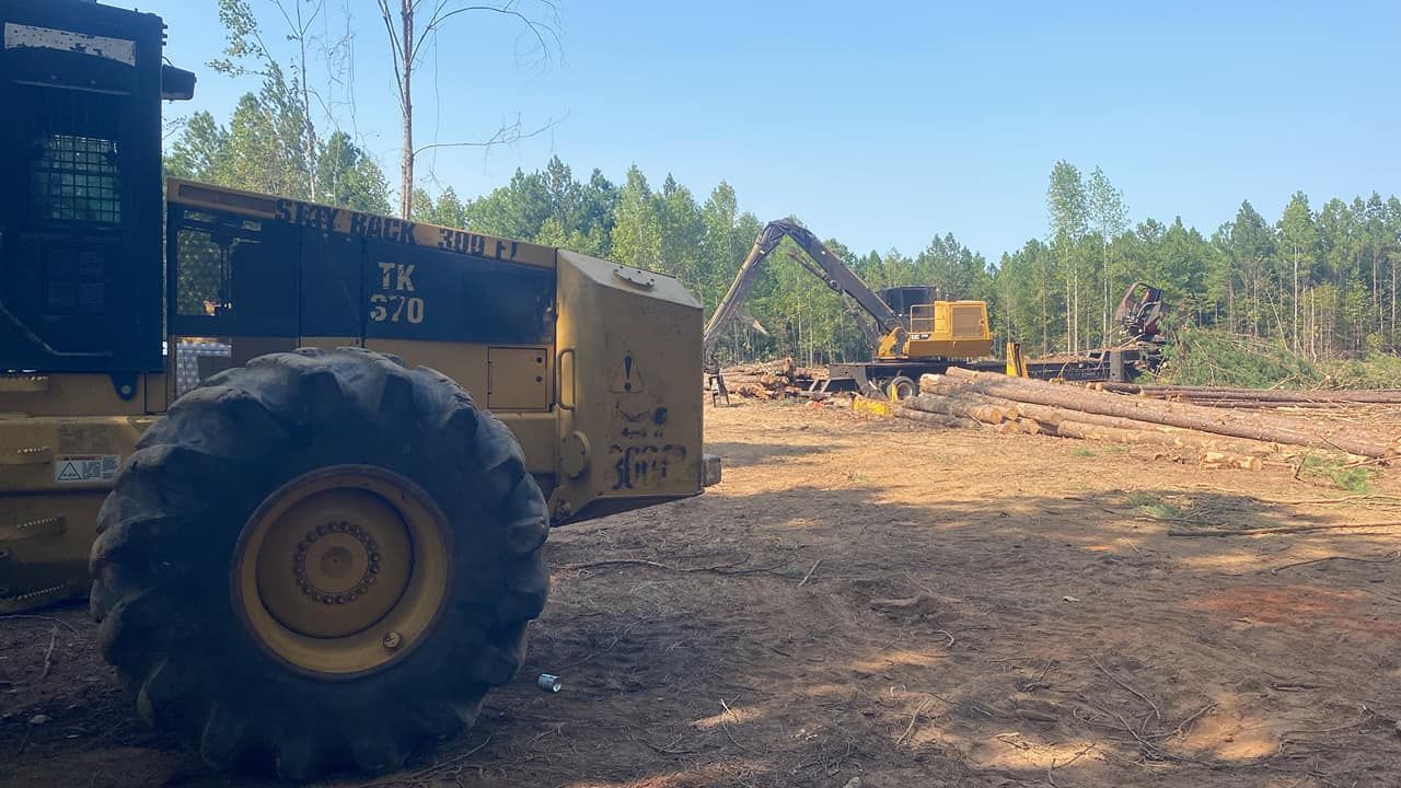 A yellow forestry machine sits in the foreground with a loading crane operating in a cleared pine forest in the distance.