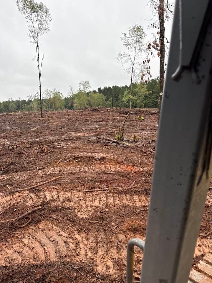 A view from a construction vehicle cab overlooking a freshly cleared, muddy forest landscape with scattered tall trees.