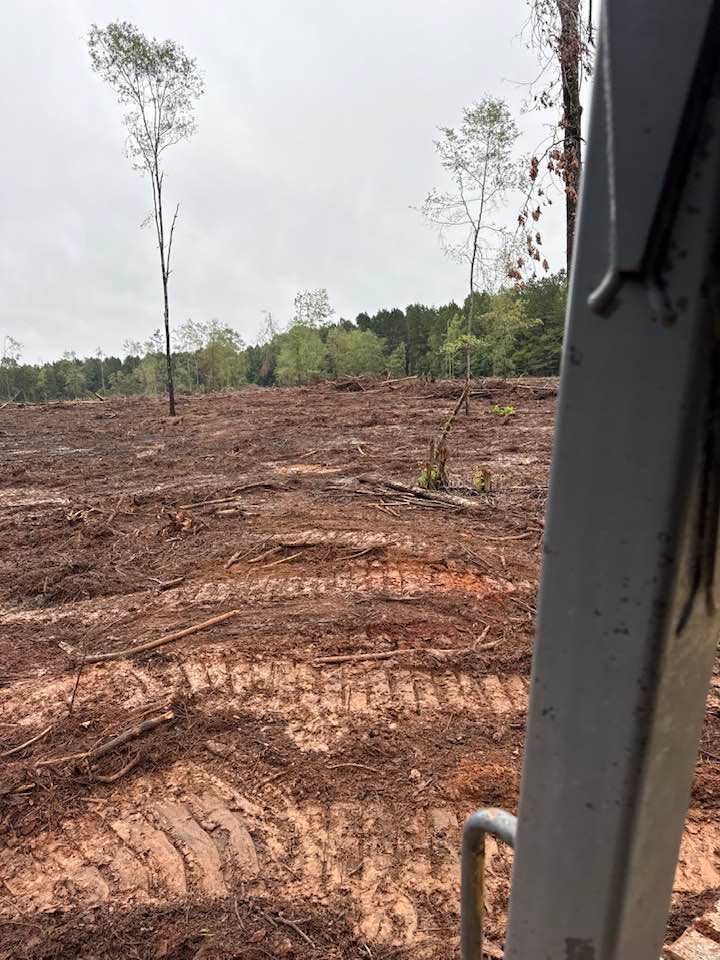 A muddy, cleared construction site with deep tire tracks and a few standing trees, viewed from inside a vehicle cabin.