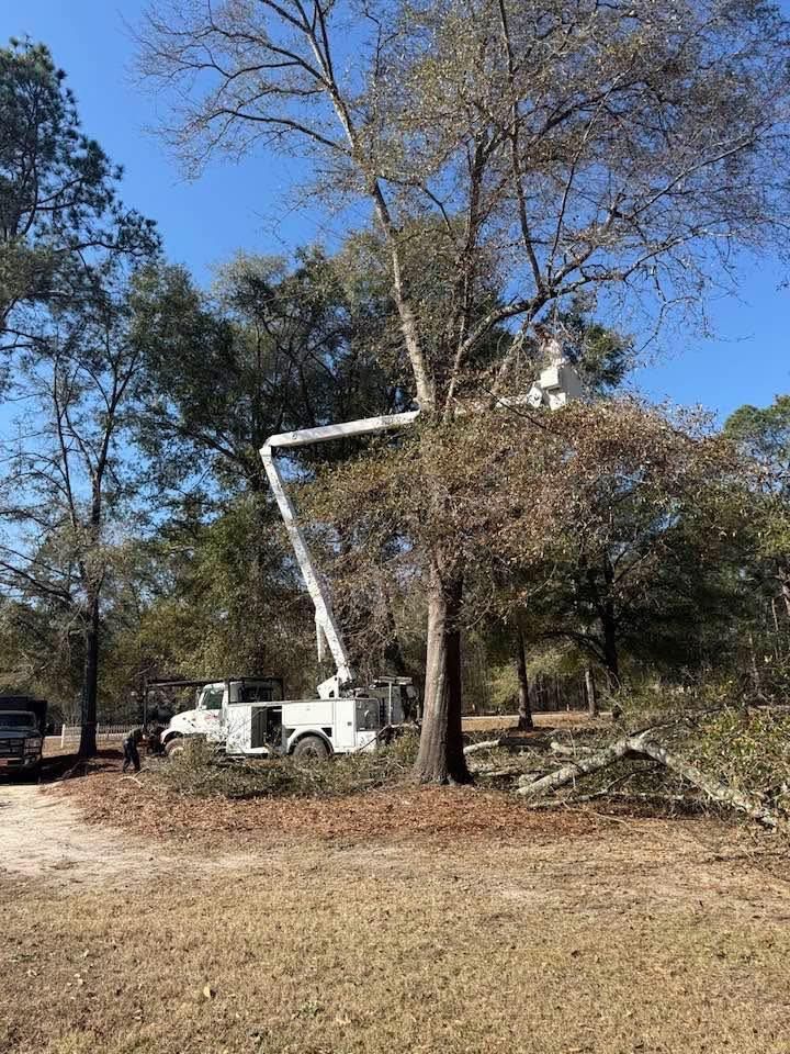A white utility truck with an extended bucket lift is positioned next to a large tree, where a person is trimming branches.