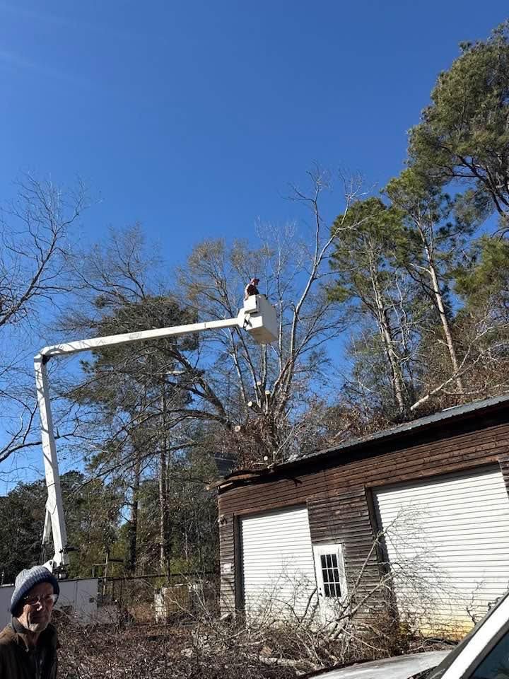 A worker in a bucket truck lift prunes branches near the roof of a brown building under a clear blue sky.
