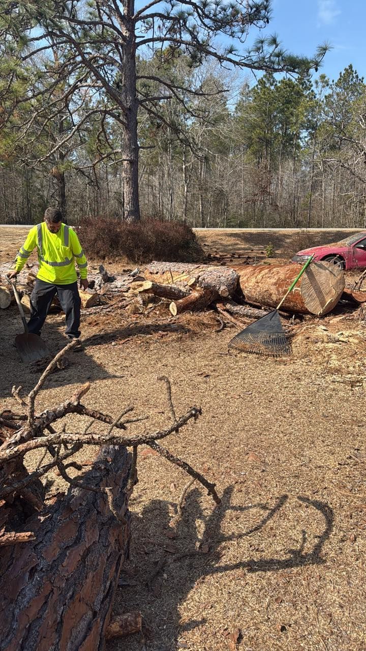 A worker in a bright yellow safety vest clearing fallen tree limbs and logs in a wooded area.