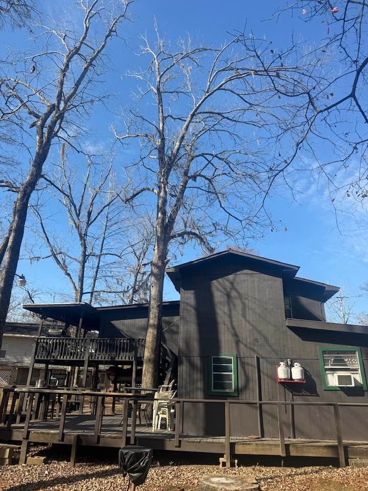 A dark-colored, two-story house with a wooden deck stands under bare trees against a clear blue sky.