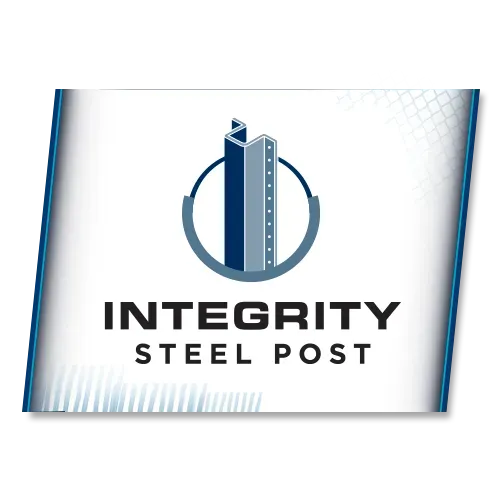 BIN-Brand_Integrity-Steel