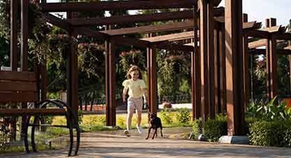 Benefits of Installing a Pergola in Your Outdoor Living Space