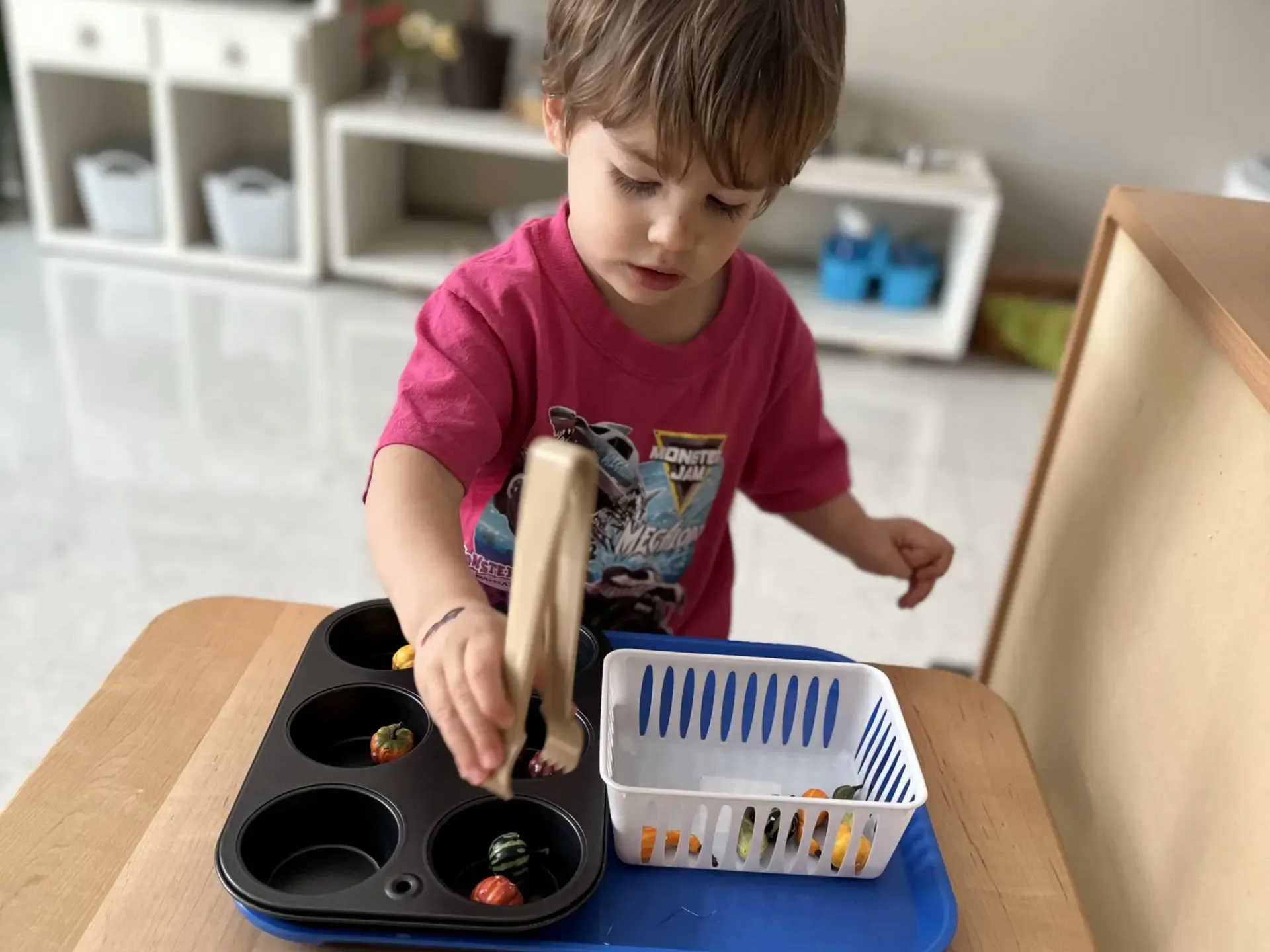 Montessori toddler working in the classroom