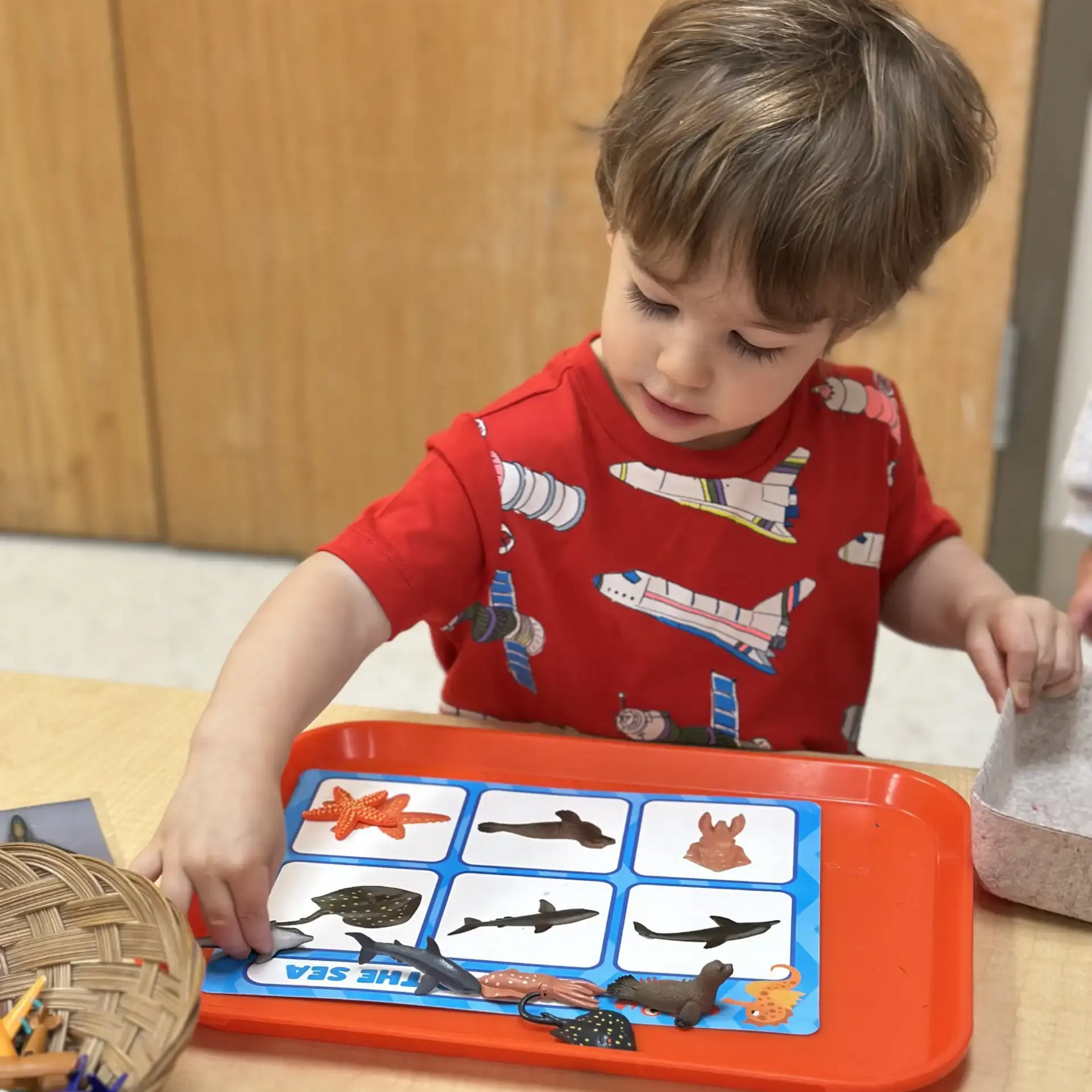 Montessori toddler program