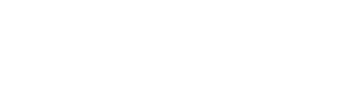 Minnesota Ice Dam Solutions