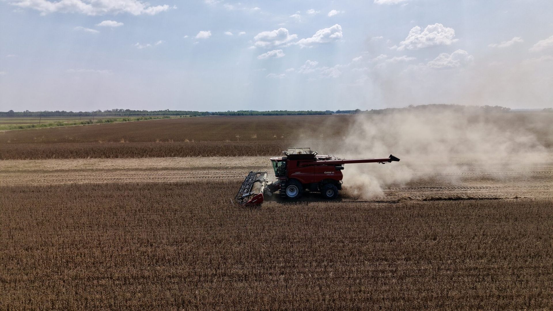 Combine harvesting a brown field, kicking up dust under a cloudy sky.