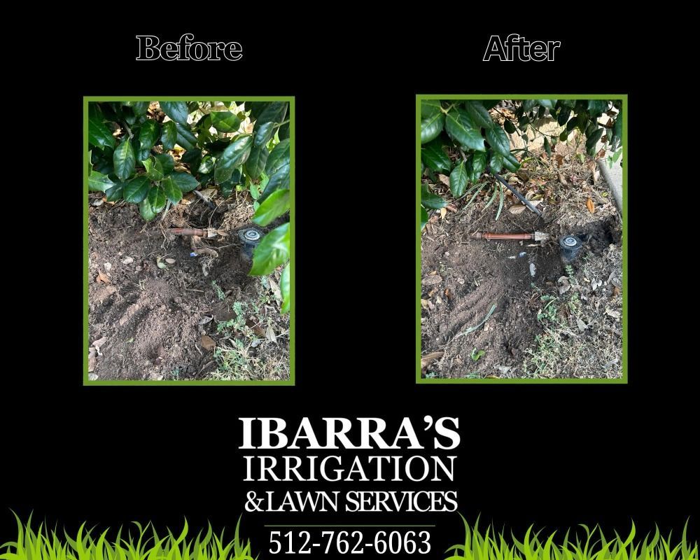 Before-and-after yard cleanup by Barrera’s Irrigation, showing cleared mulch and plants.