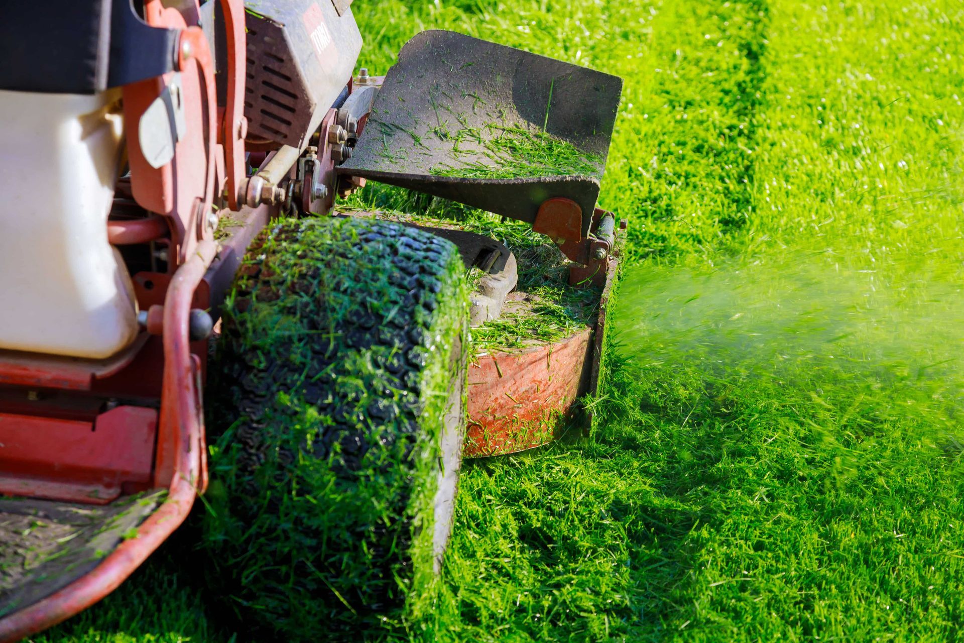 Lawn mower cutting bright green grass, with clippings spraying out to the side.