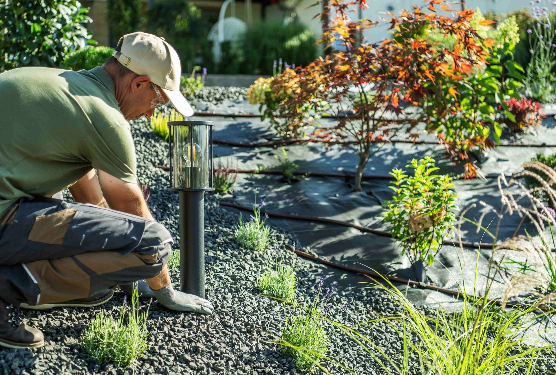 Gardener kneeling beside plants in a sunny garden, tending weeds near black mulch.