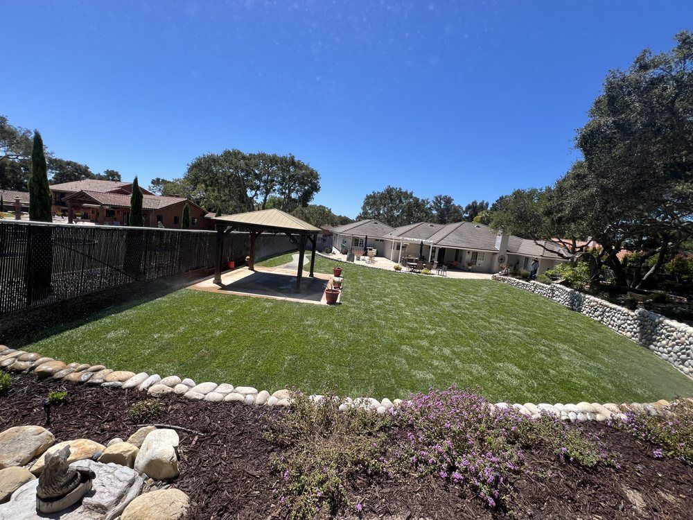 A spacious backyard with green grass, a gazebo, and a home under a bright blue sky.
