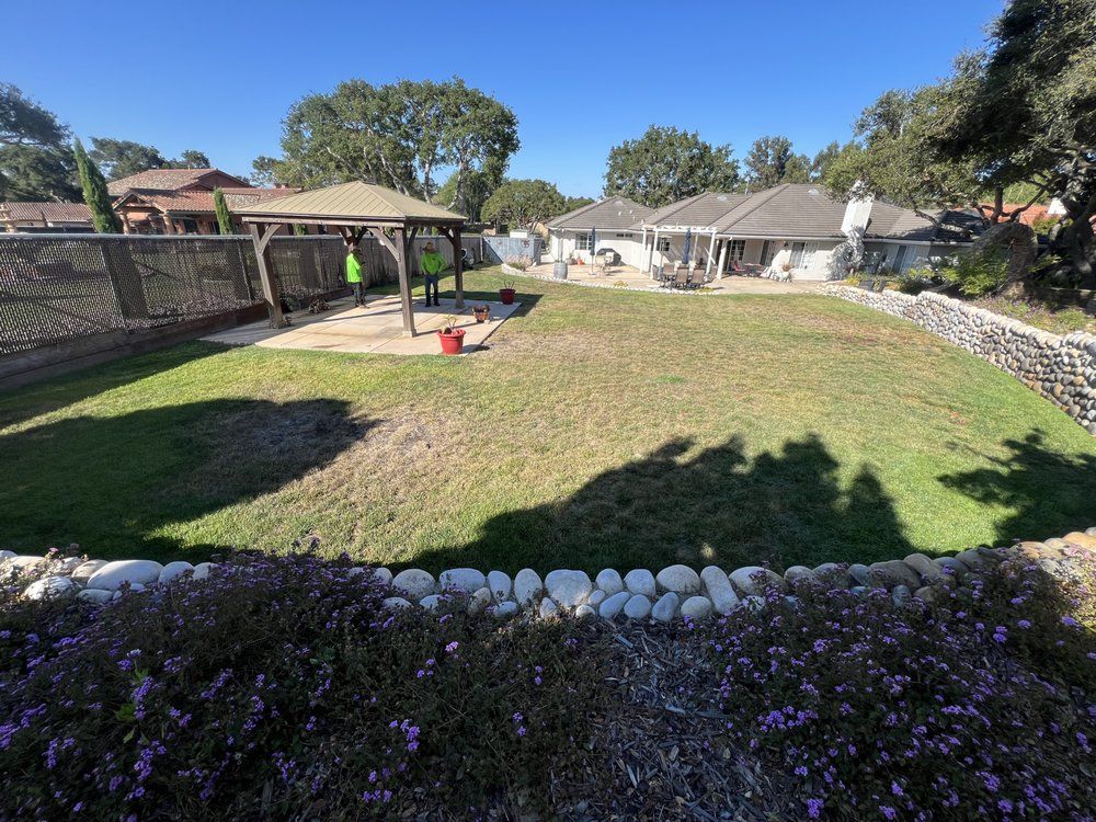 Backyard with gazebo, house, and stone wall, featuring green and brown grass under a blue sky.