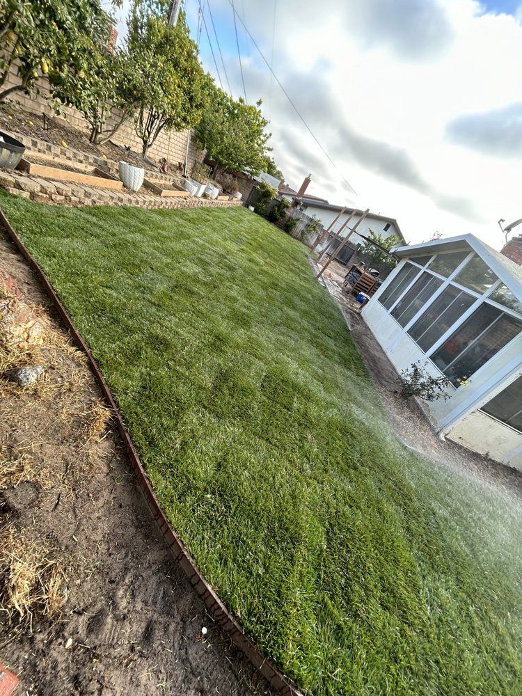 Lush green lawn on a hillside, bordered by a dirt area. Bright sunlight, residential setting.