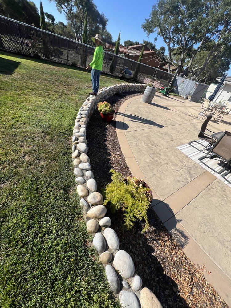 Man standing near a stone-lined garden bed filled with plants.