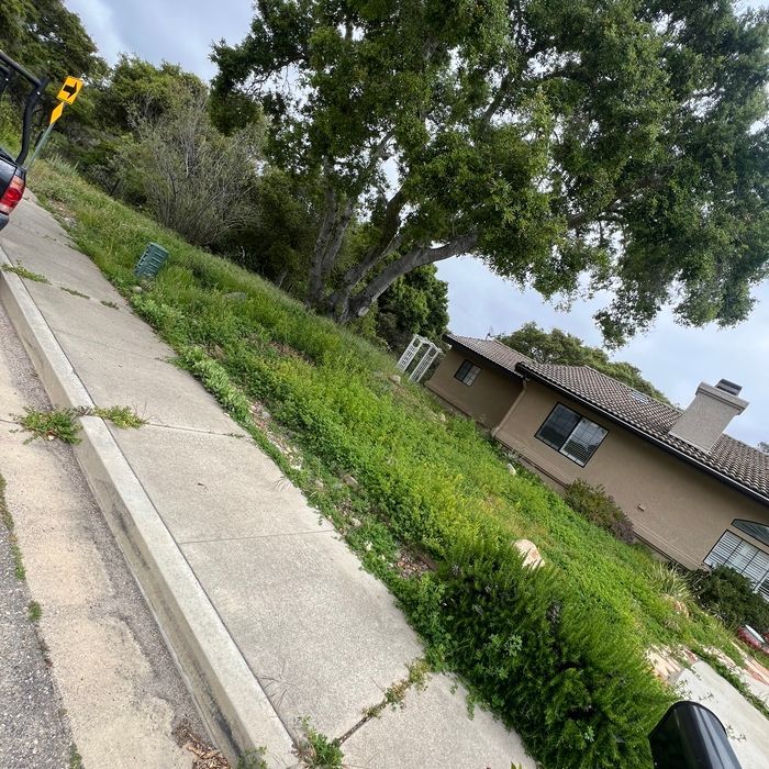 Sidewalk next to a grassy slope with a house and tree in the background.