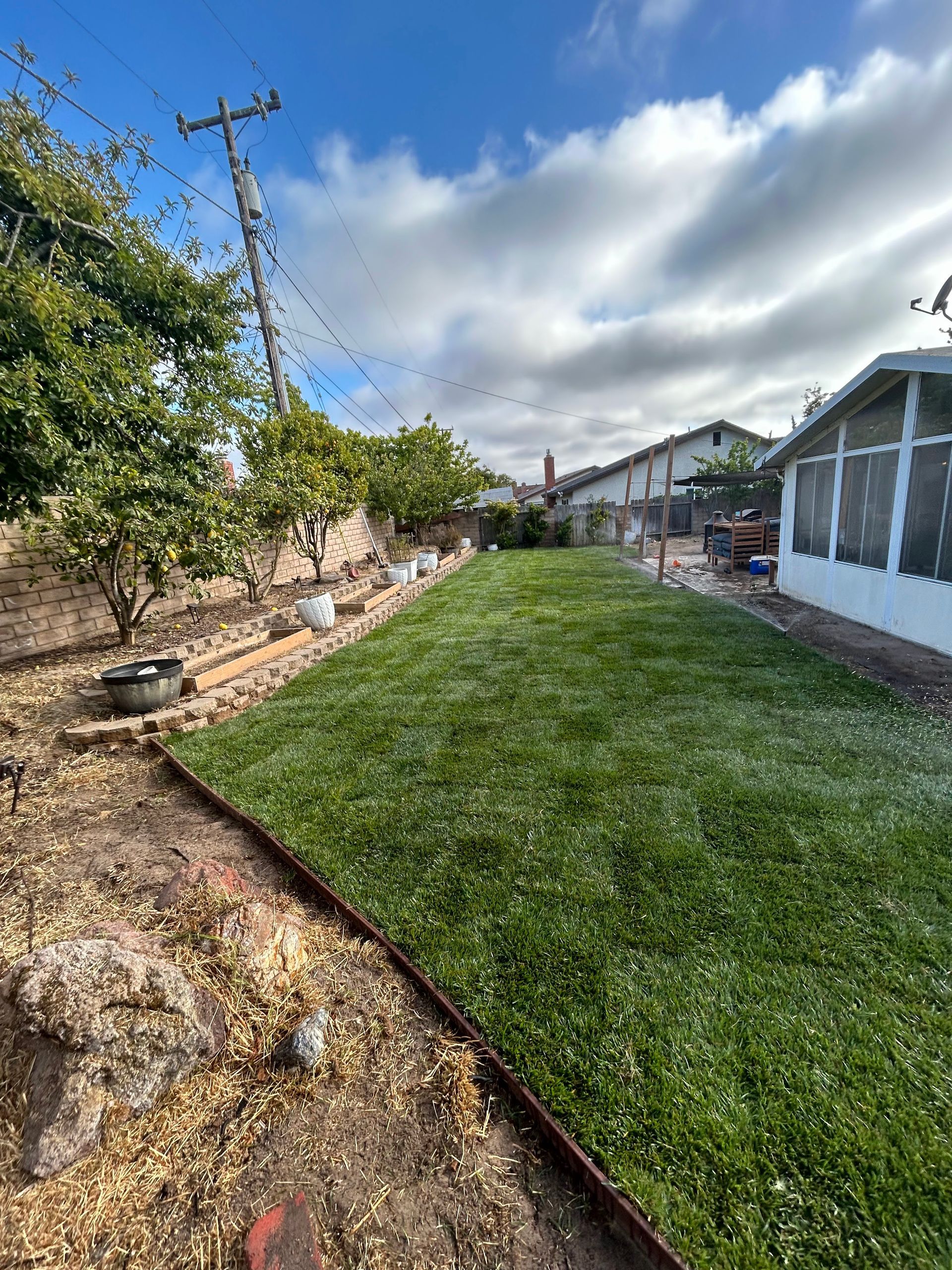 Backyard with green grass, trees, and cloudy sky.