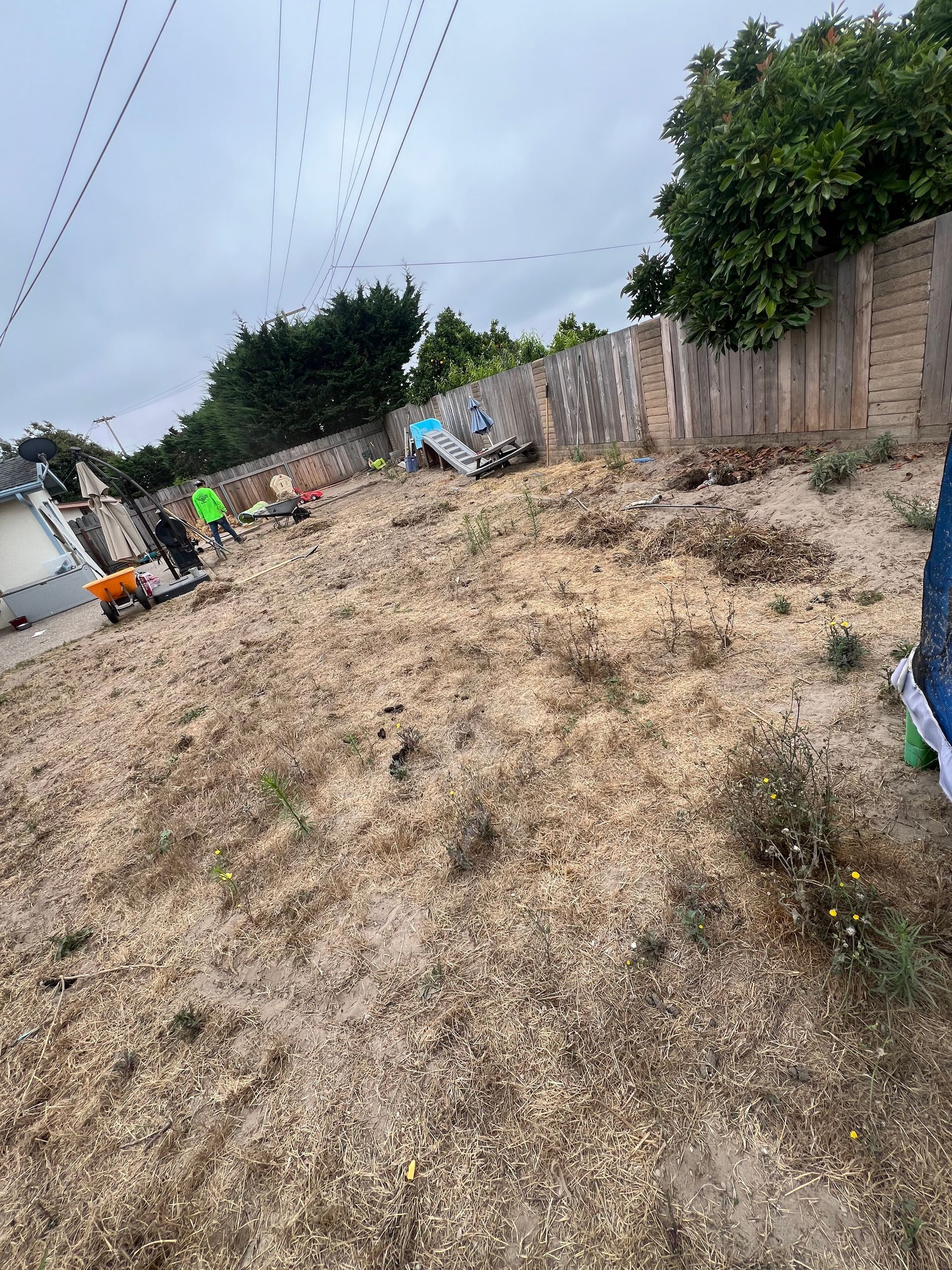 A bare, sandy backyard with a wooden fence. Power lines and a cloudy sky are overhead.