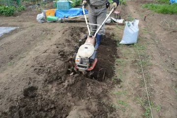 Person using a tiller to cultivate soil in a garden bed. Brown soil, gray tiller.