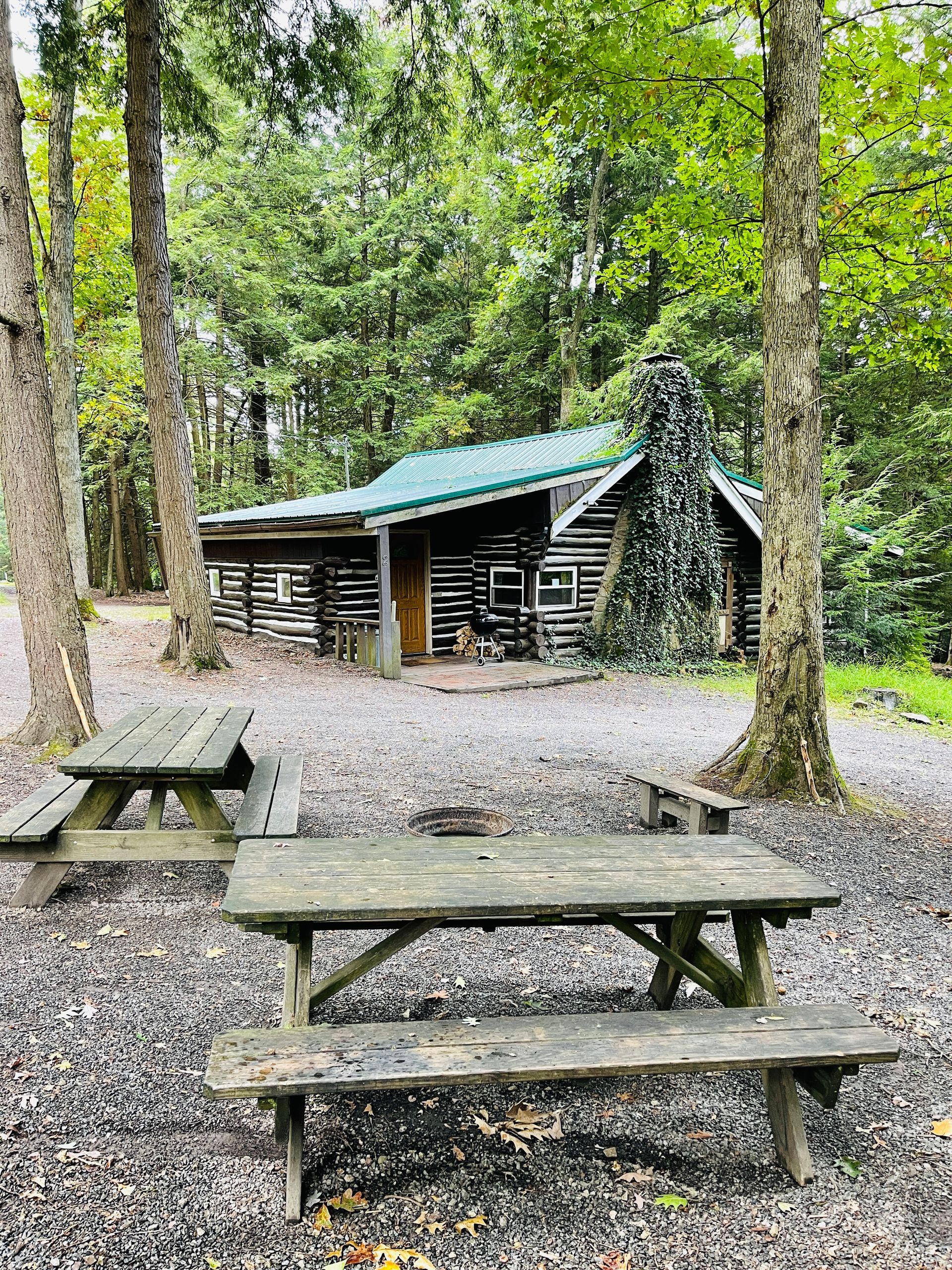 Cabin 2 