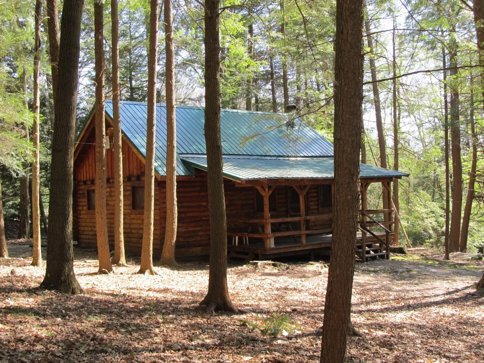 Cabin 5 surroundings
