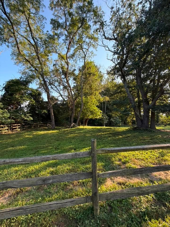 Wooden fence in a sunlit grassy park with tall trees and a small clearing