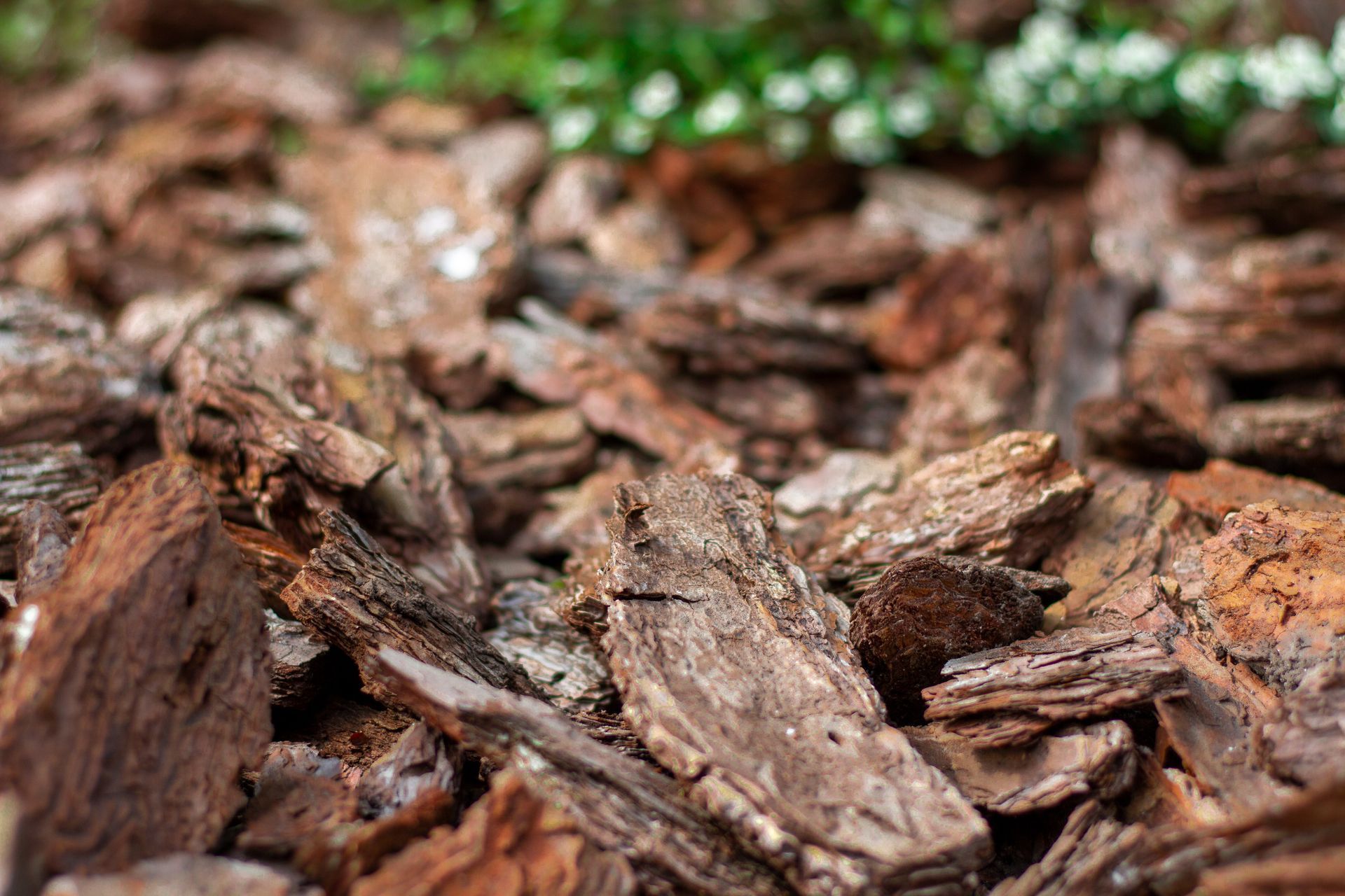 A close up of a pile of wood chips on the ground.